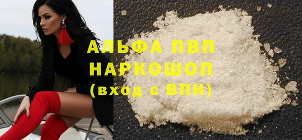 стафф Алзамай