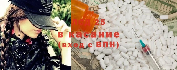 стафф Алзамай