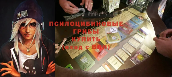 ПСИЛОЦИБИНОВЫЕ ГРИБЫ Алексеевка