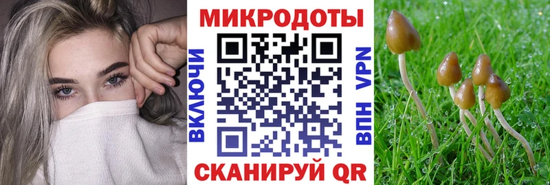 Псилоцибиновые грибы MAGIC MUSHROOMS  Козловка 